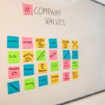 BMC customer discovery canvas