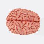 how ai competitive positioning